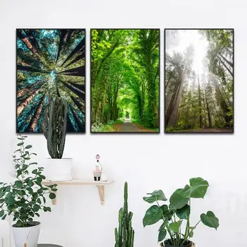 Natūralūs, švieži, saulė, drobė, tapyba žalią medį plakatas miškų kraštovaizdžio sienos menas nuotraukas kambarį fone deco home